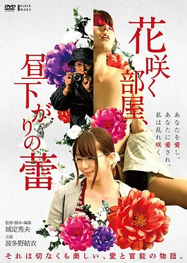 雾里灯塔 高清电影免费在线观看